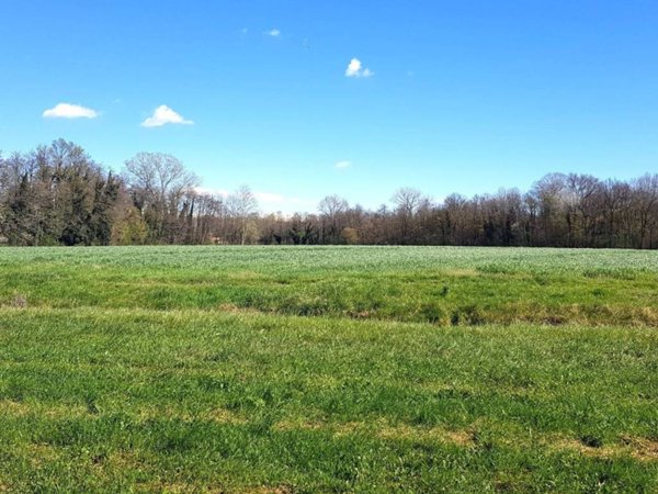 terreno agricolo in vendita ad Anzano del Parco
