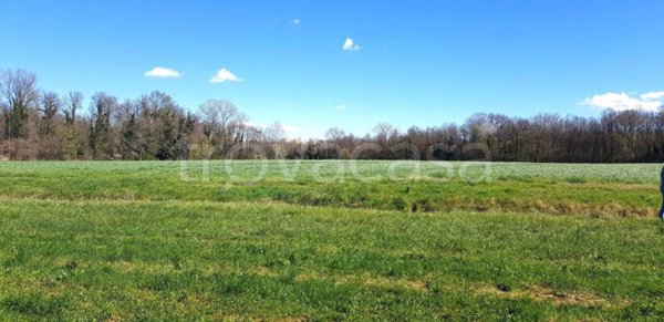 terreno agricolo in vendita ad Anzano del Parco
