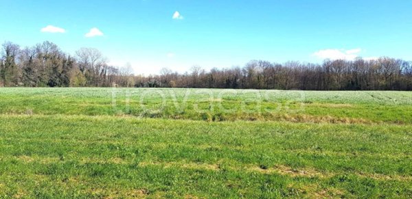 terreno agricolo in vendita ad Anzano del Parco