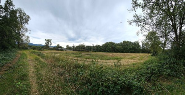 terreno agricolo in vendita ad Anzano del Parco