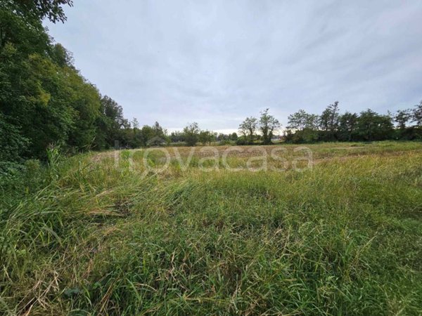 terreno agricolo in vendita ad Anzano del Parco