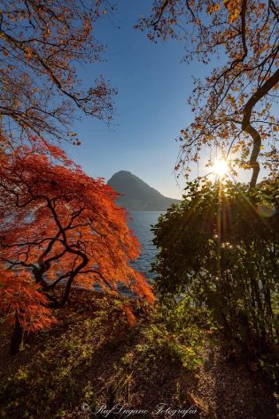 casa indipendente in vendita ad Appiano Gentile