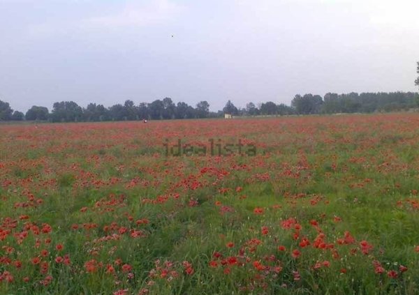 terreno agricolo in vendita ad Appiano Gentile