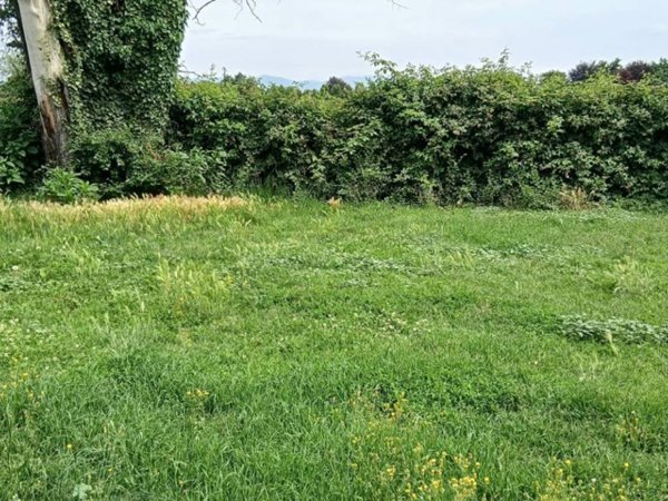 casa indipendente in vendita ad Appiano Gentile