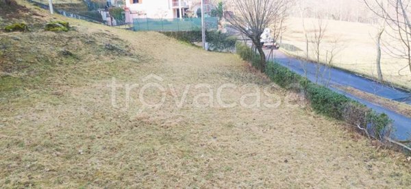 terreno agricolo in vendita ad Argegno