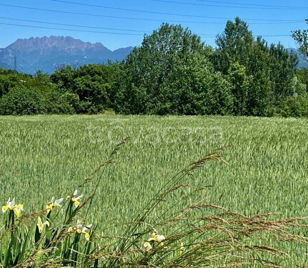 appartamento in vendita ad Arosio