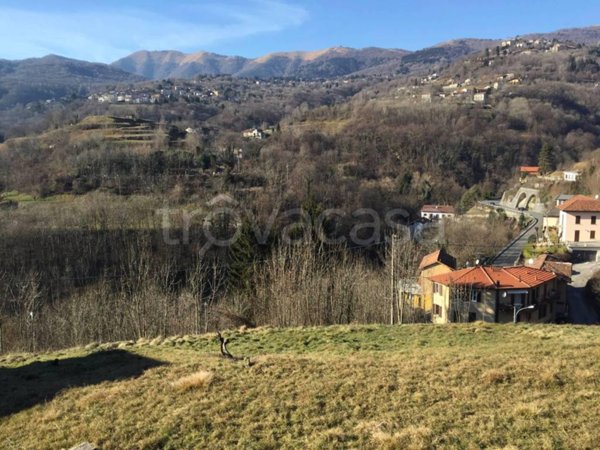 terreno agricolo in vendita ad Asso