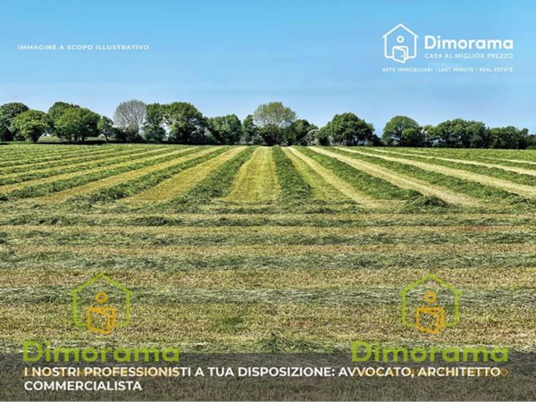 negozio in vendita ad Asso