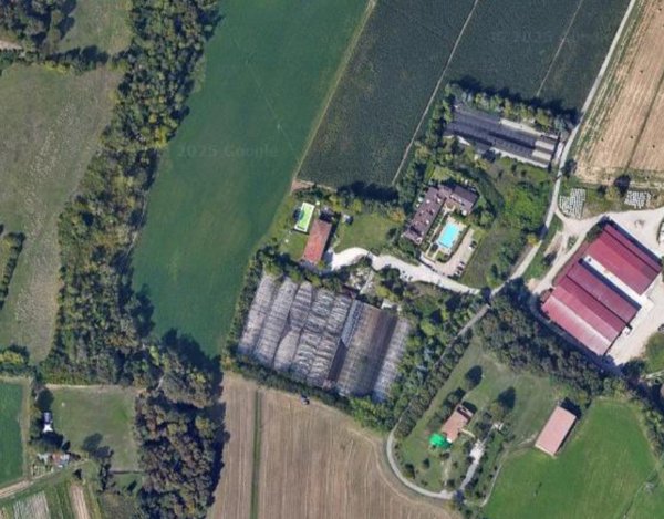 terreno agricolo in vendita ad Asso