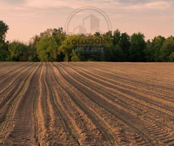 monolocale in vendita ad Asso