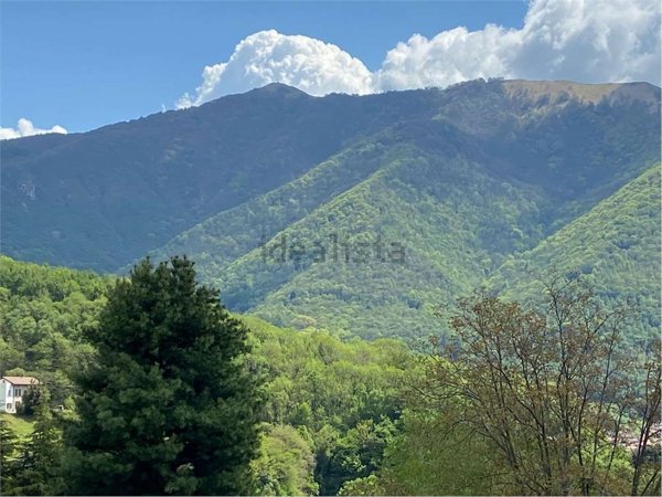 casa indipendente in vendita ad Asso