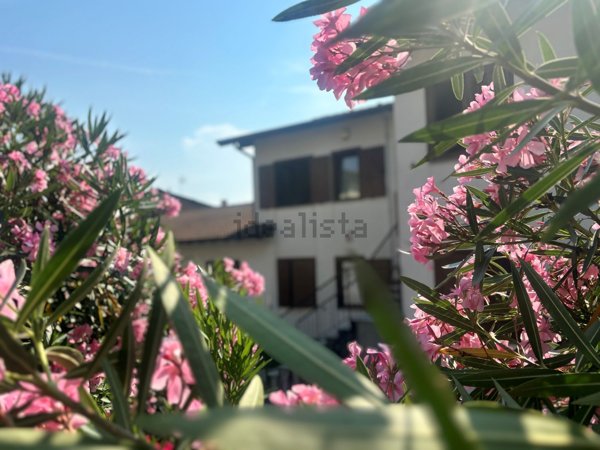 appartamento in vendita ad Asso