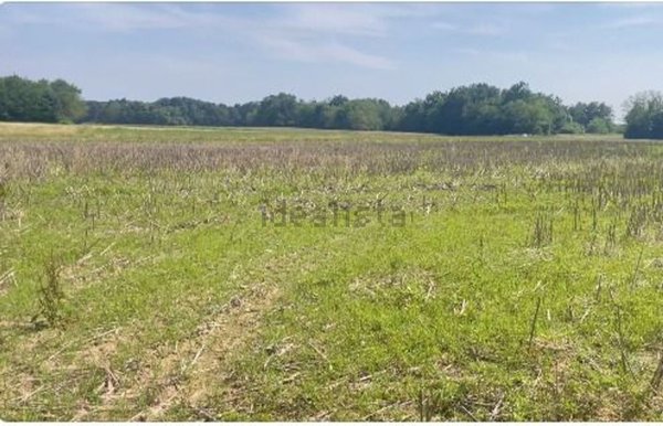 terreno agricolo in vendita a Binago