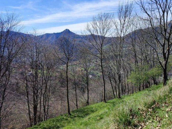 terreno edificabile in vendita a Blessagno in zona Lura