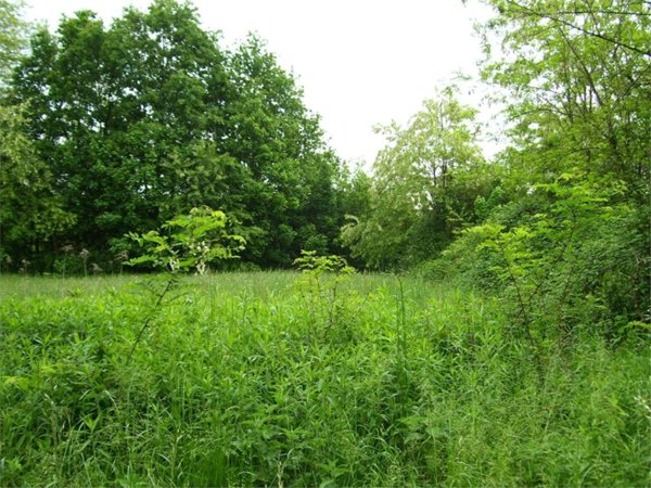 terreno agricolo in vendita a Bregnano