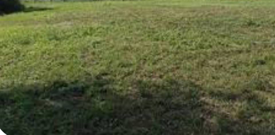 terreno agricolo in vendita a Bregnano in zona San Giorgio