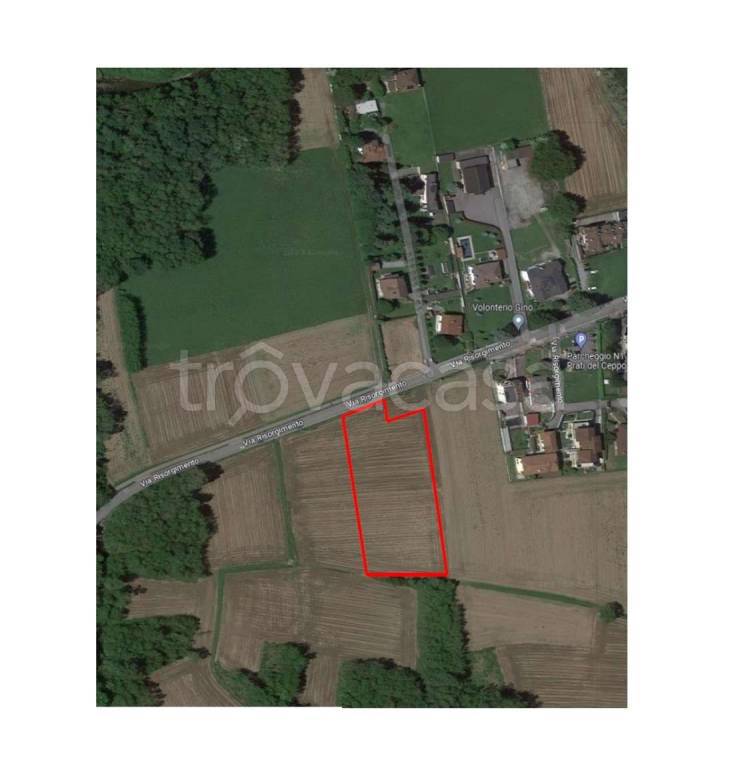 immagine annuncio 0 di 1