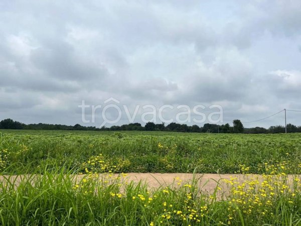 terreno agricolo in vendita a Brenna
