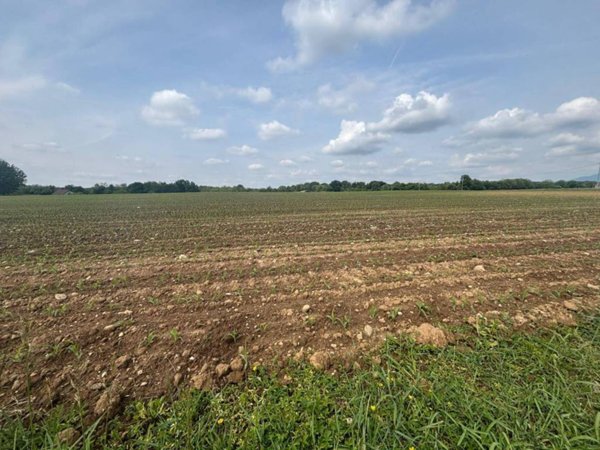 terreno agricolo in vendita a Brenna