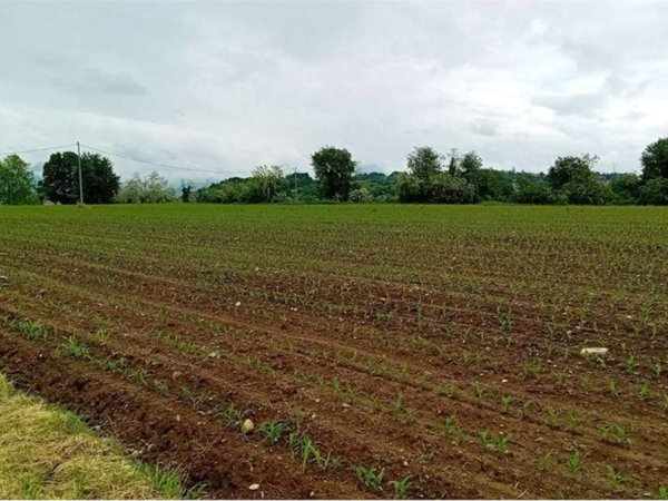 terreno agricolo in vendita a Brenna