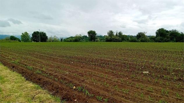 terreno agricolo in vendita a Brenna