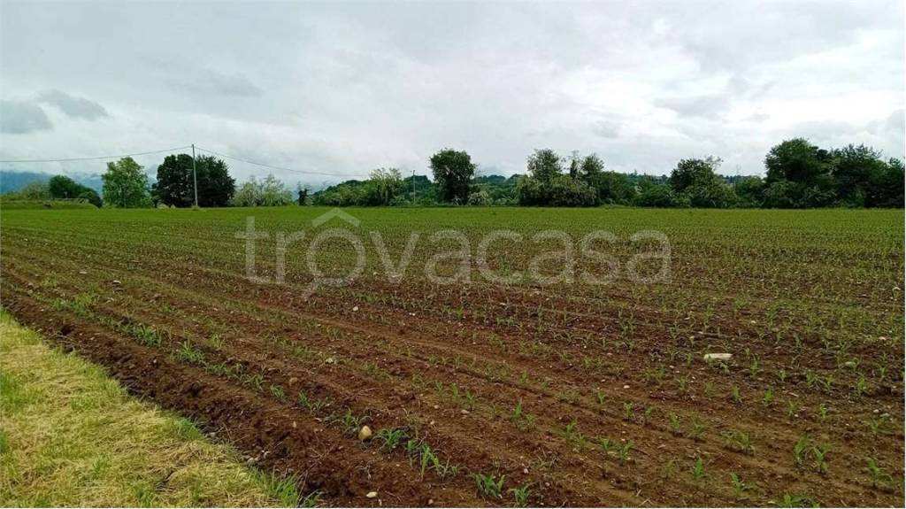terreno agricolo in vendita a Brenna