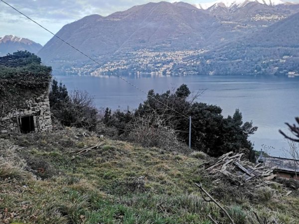 appartamento in vendita a Brienno
