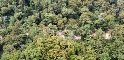 monolocale in vendita a Brienno