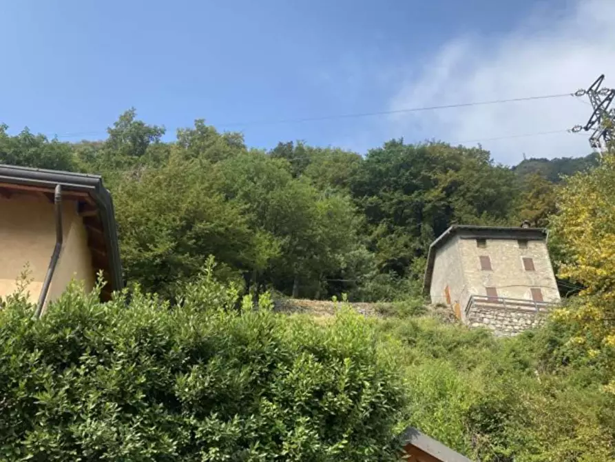 terreno agricolo in vendita a Brienno