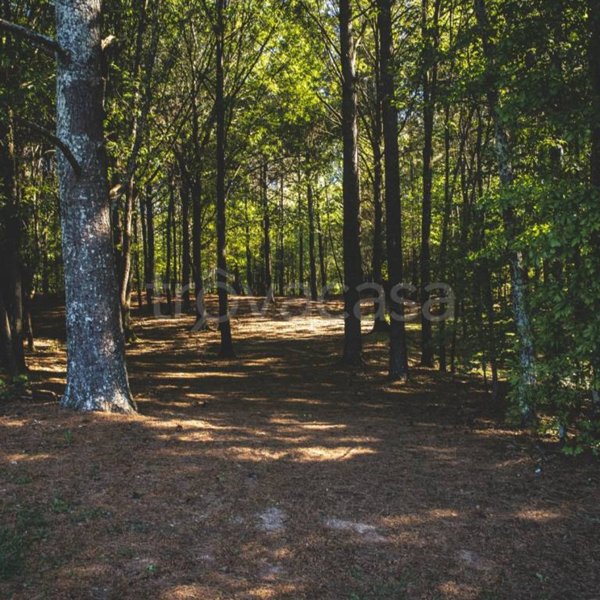 casa indipendente in vendita a Brunate