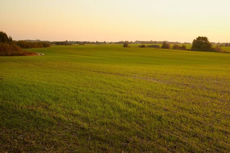 terreno agricolo in vendita a Cabiate