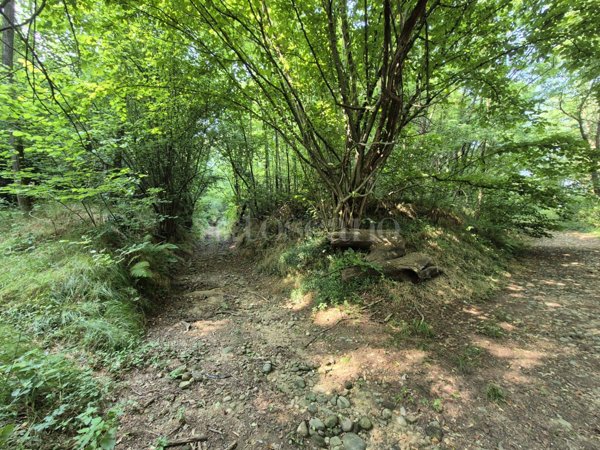 casale in vendita a Cabiate