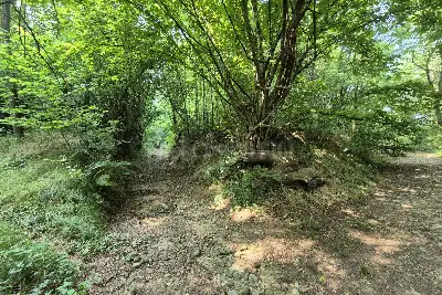 casale in vendita a Cabiate
