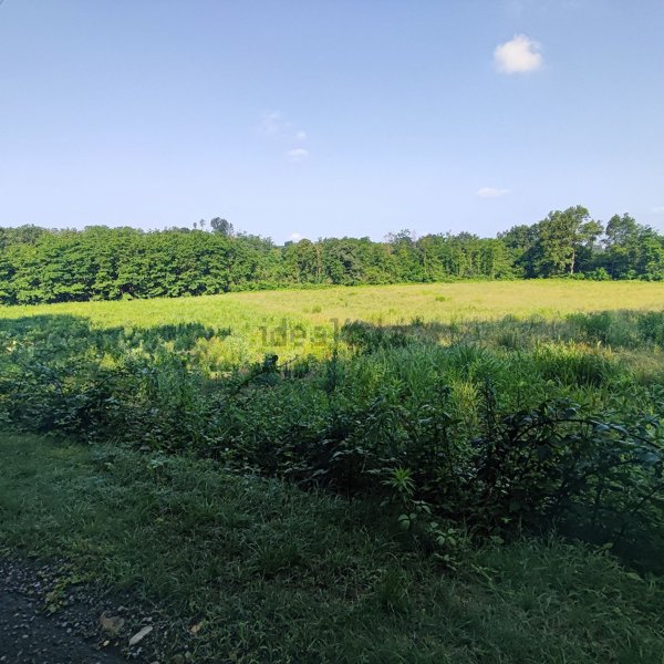 terreno agricolo in vendita a Cadorago