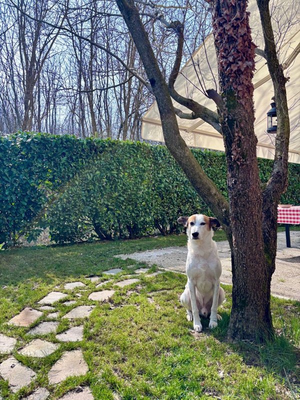 casa indipendente in vendita a Cadorago