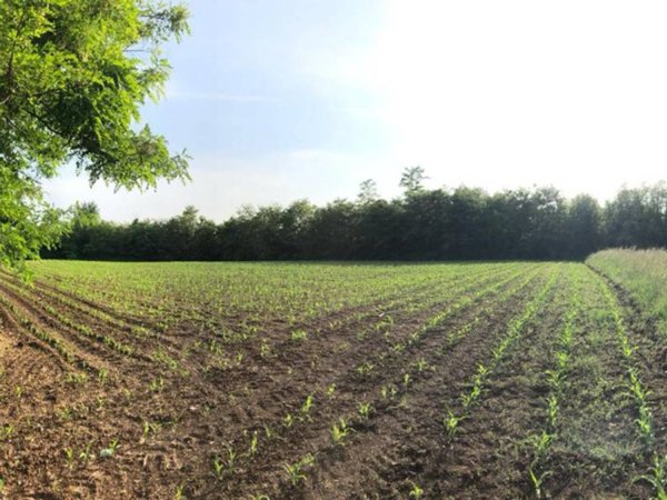 terreno agricolo in vendita a Cantù in zona Vighizzolo