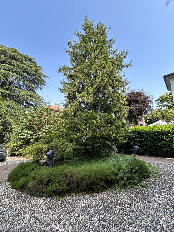 casa indipendente in vendita a Cantù