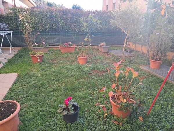 appartamento in vendita a Cantù