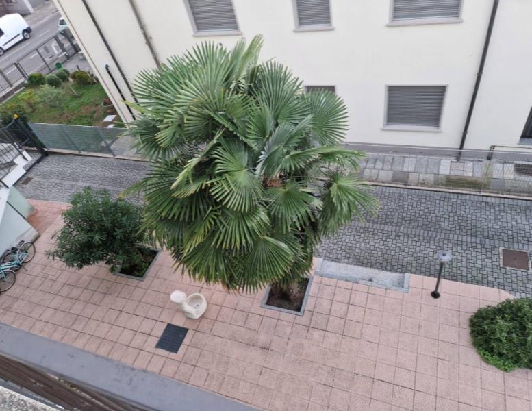 appartamento in vendita a Cantù in zona Vighizzolo