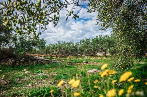 terreno in vendita a Cantù