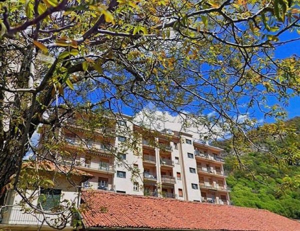 appartamento in vendita a Canzo