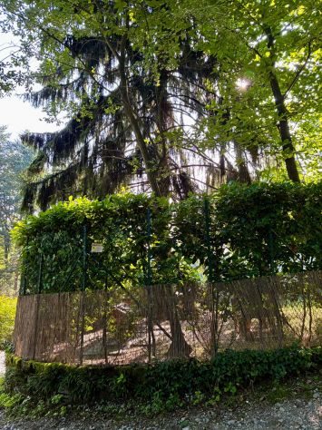 casa indipendente in vendita a Capiago Intimiano