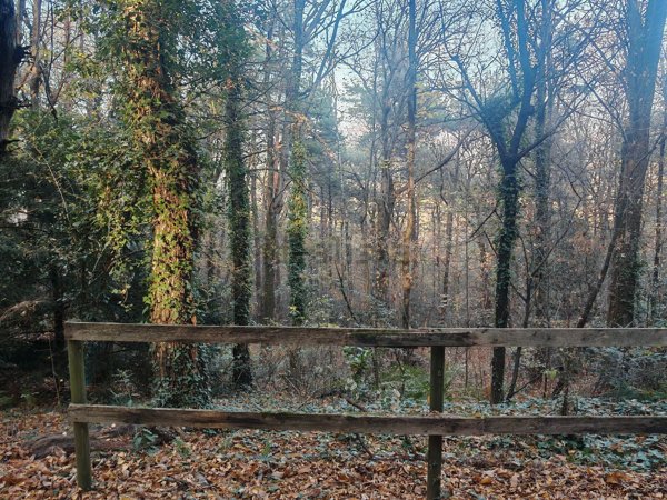 appartamento in vendita a Capiago Intimiano