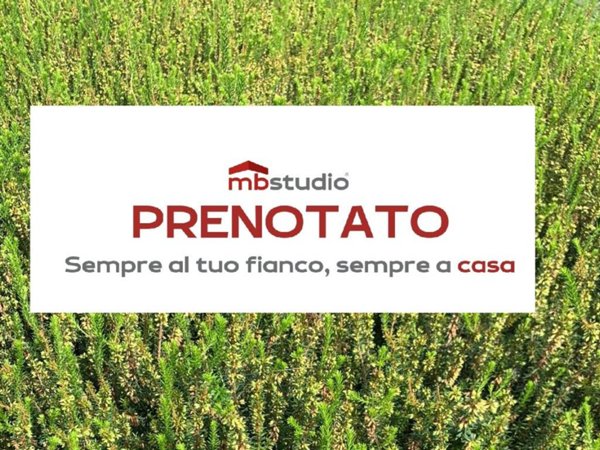 immagine annuncio 0 di 1