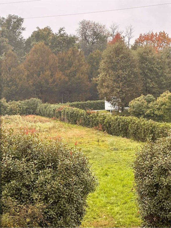 terreno agricolo in vendita a Carimate