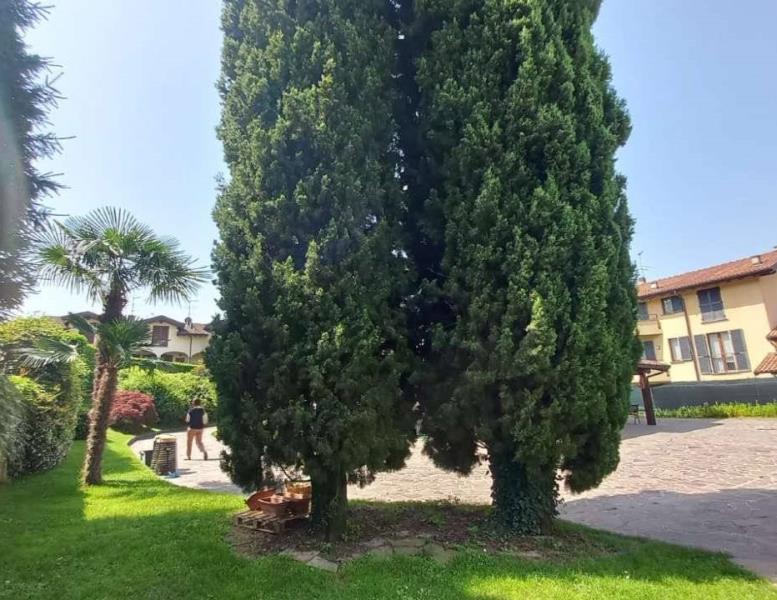 casa indipendente in vendita a Casnate con Bernate