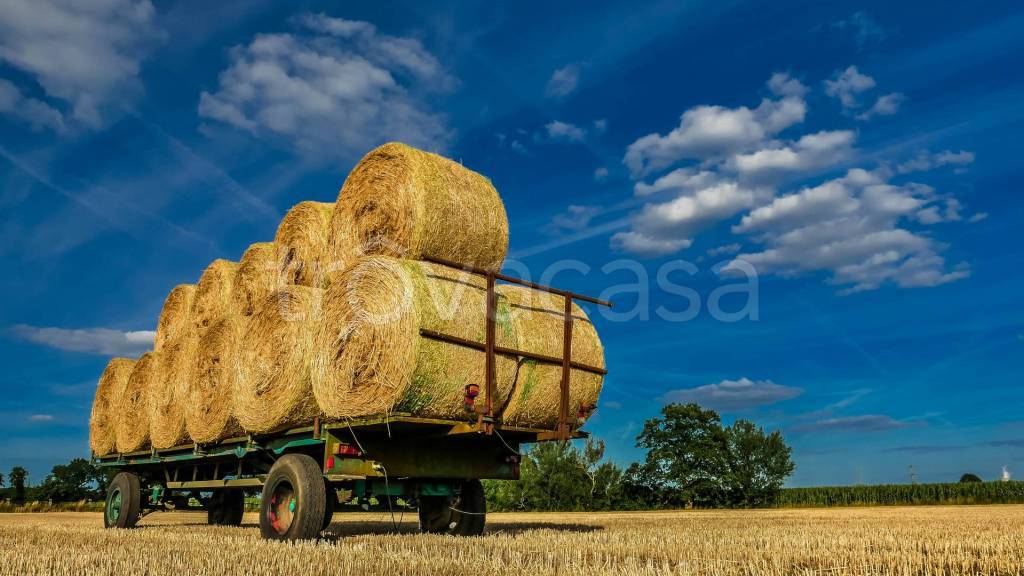terreno agricolo in vendita a Casnate con Bernate