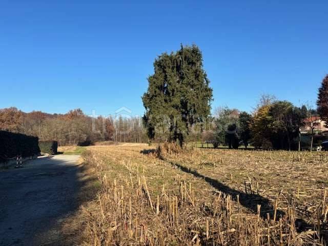 terreno agricolo in vendita a Cassina Rizzardi in zona Ronco Vecchio
