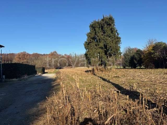 terreno agricolo in vendita a Cassina Rizzardi in zona Ronco Vecchio