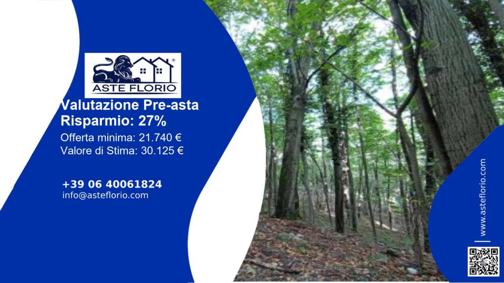 terreno agricolo in vendita a Castelmarte